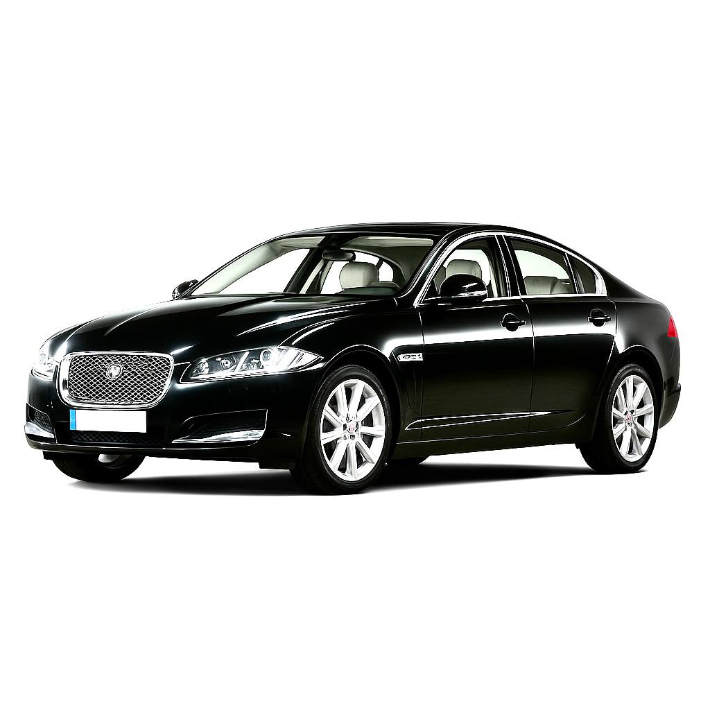 XF X250 (2007 - 2015)